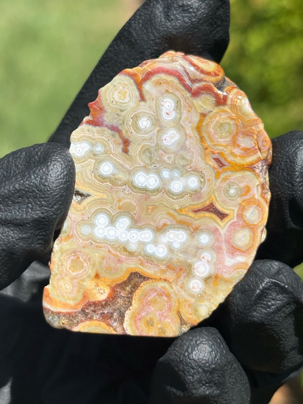 Small Ocean Jasper Crystal Freeform - Polished Sea Jasper - Orbicular Jasper